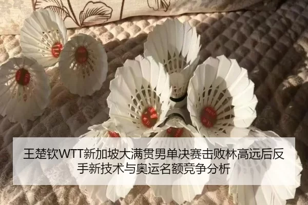 王楚钦WTT新加坡大满贯男单决赛击败林高远后反手新技术与奥运名额竞争分析